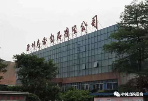 舊改快訊 光明光僑食品廠(chǎng)綜合整治類(lèi)項(xiàng)目擬調(diào)出計(jì)劃